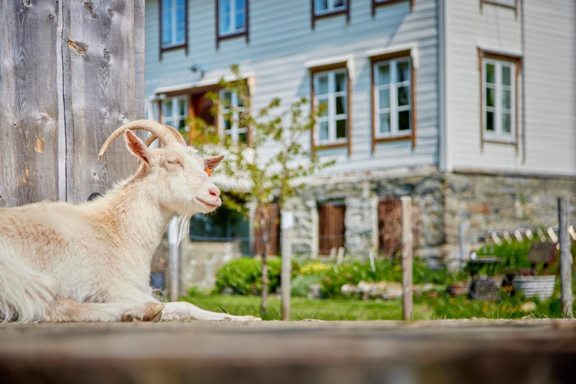 Overvoll Farm Странда Экстерьер фото